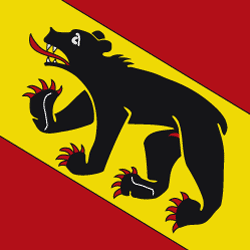 Berner-Wappen-Fahne